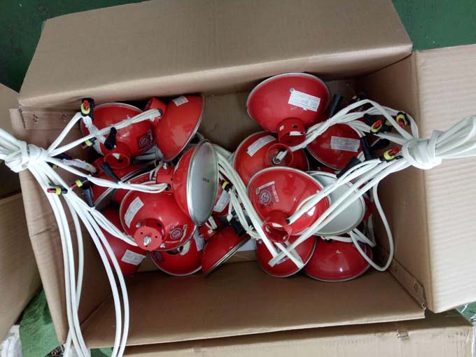 11_proc.jpg 11_proc.jpg